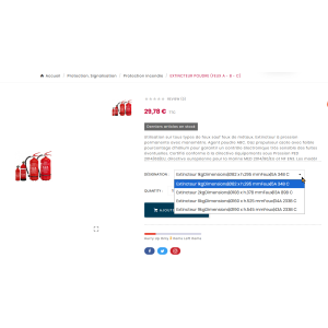 extintor, rojo, polvo, portátil, seguridad, 1kg