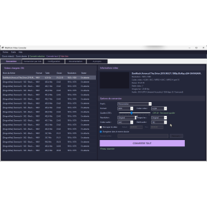 logiciel de conversion vidéo, interface utilisateur, options variées