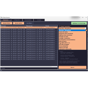 logiciel, interface, renommer, fichiers, gestion, outil