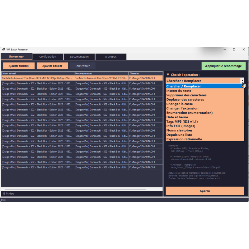 software, interfață, redenumire, fișiere, gestionare, instrument