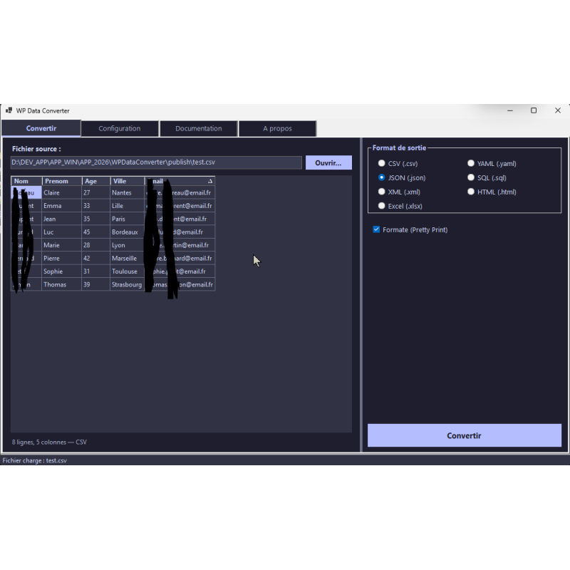 interface utilisateur, logiciel, tableau, conversion, données