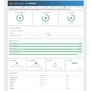 Audit seo prestashop — Module SEO avec Réparation IA Intégrée