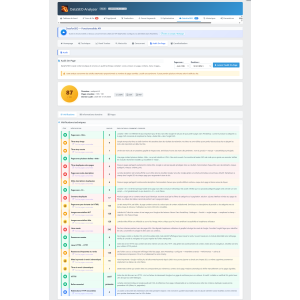 análise técnica, relatório, desempenho, DataForSEO