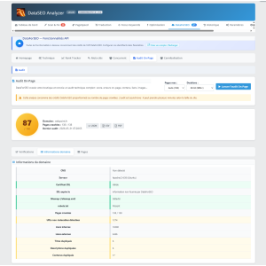 ferramenta de análise web, interface do usuário, gráfico, dados, resultados