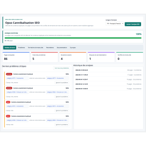 dashboard, SEO analysis, issues, duplicates, data