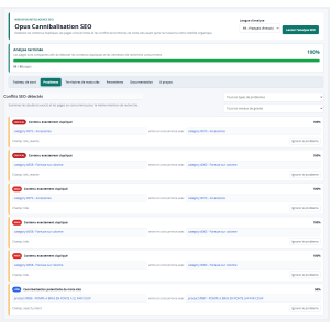 SEO-Analyse-Tool, Benutzeroberfläche, Dublettenprüfung