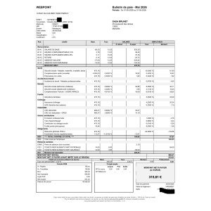 lohnzettel-software, gehaltsabrechnung, 2026, dokument, layout, digital