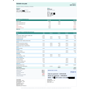 Payslip, document, PDF, compliance, services, 2026