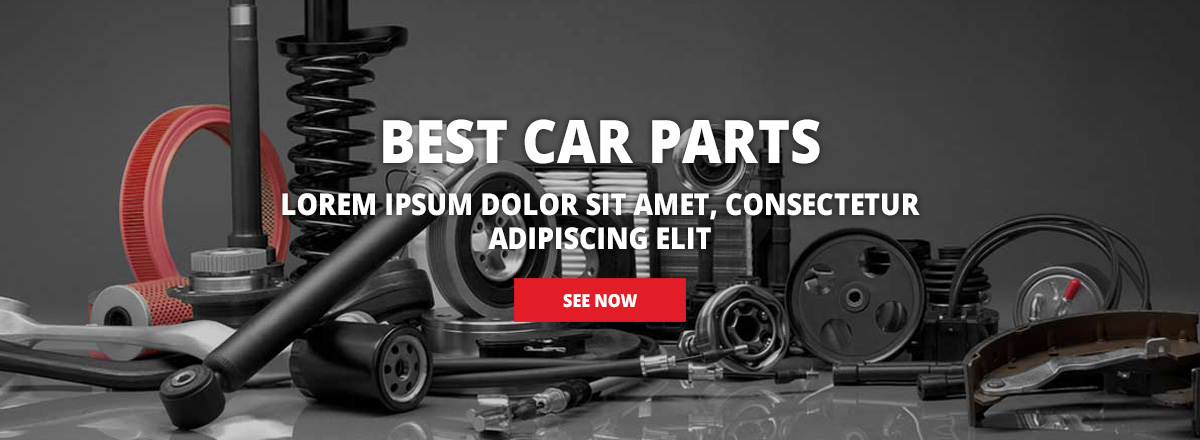 We have been developing solutions for you since 1994.